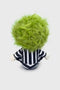 Beetlejuice Plush Toy - PRE ORDER