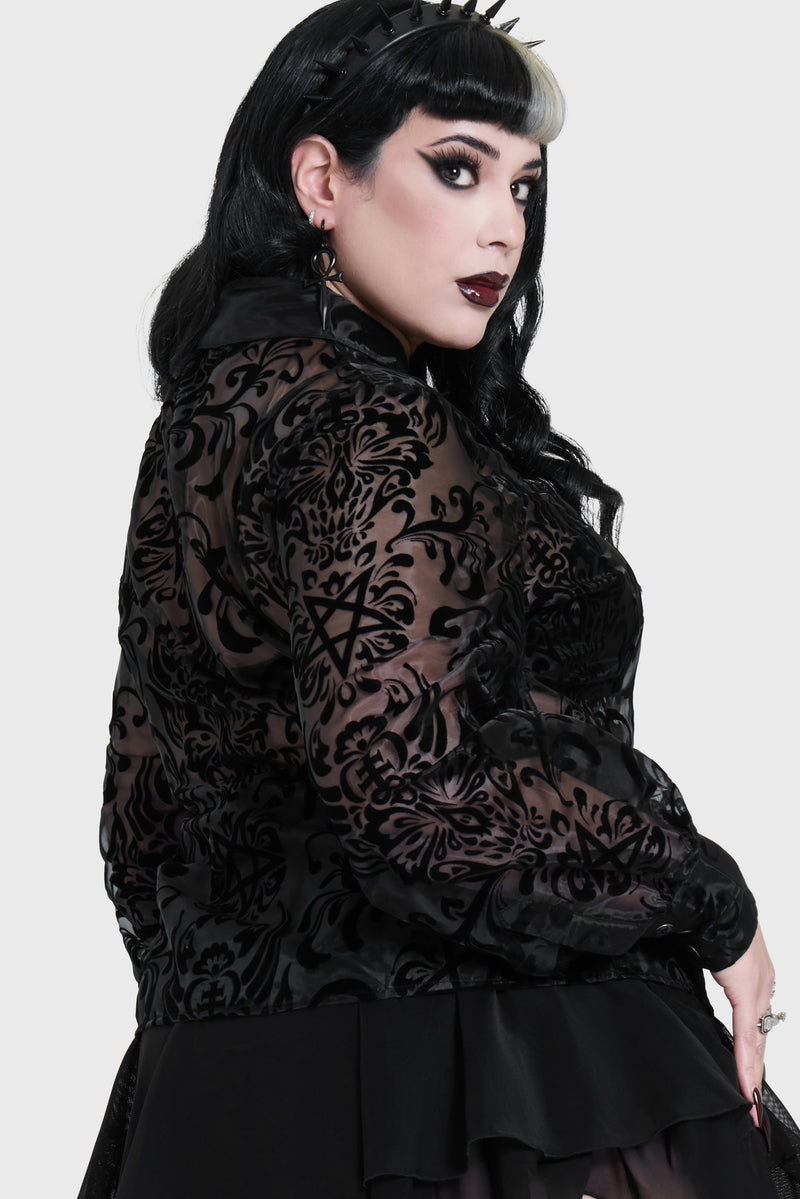 Model:plus
