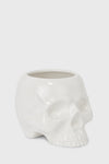 Cranium Planter