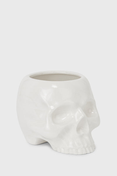 Cranium Planter