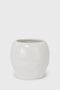 Cranium Planter