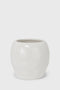 Cranium Planter