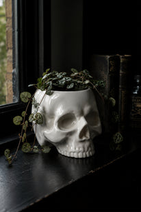 Cranium Planter