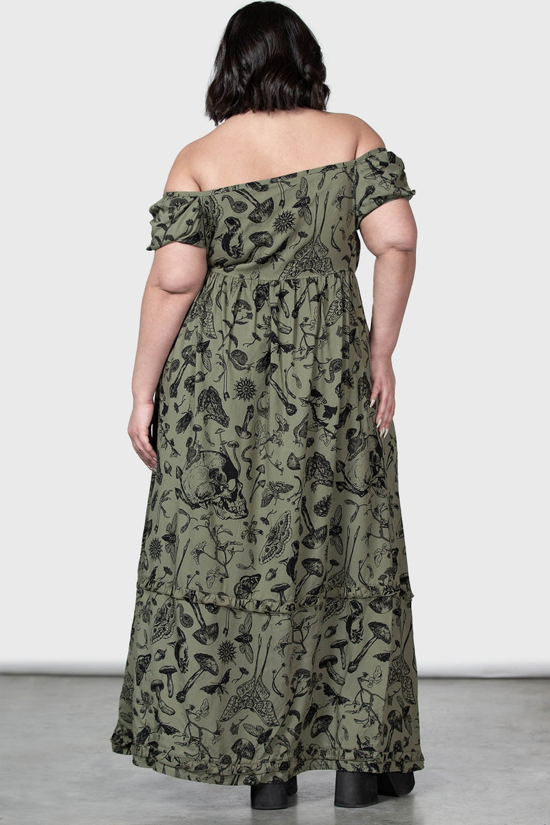 Model:plus