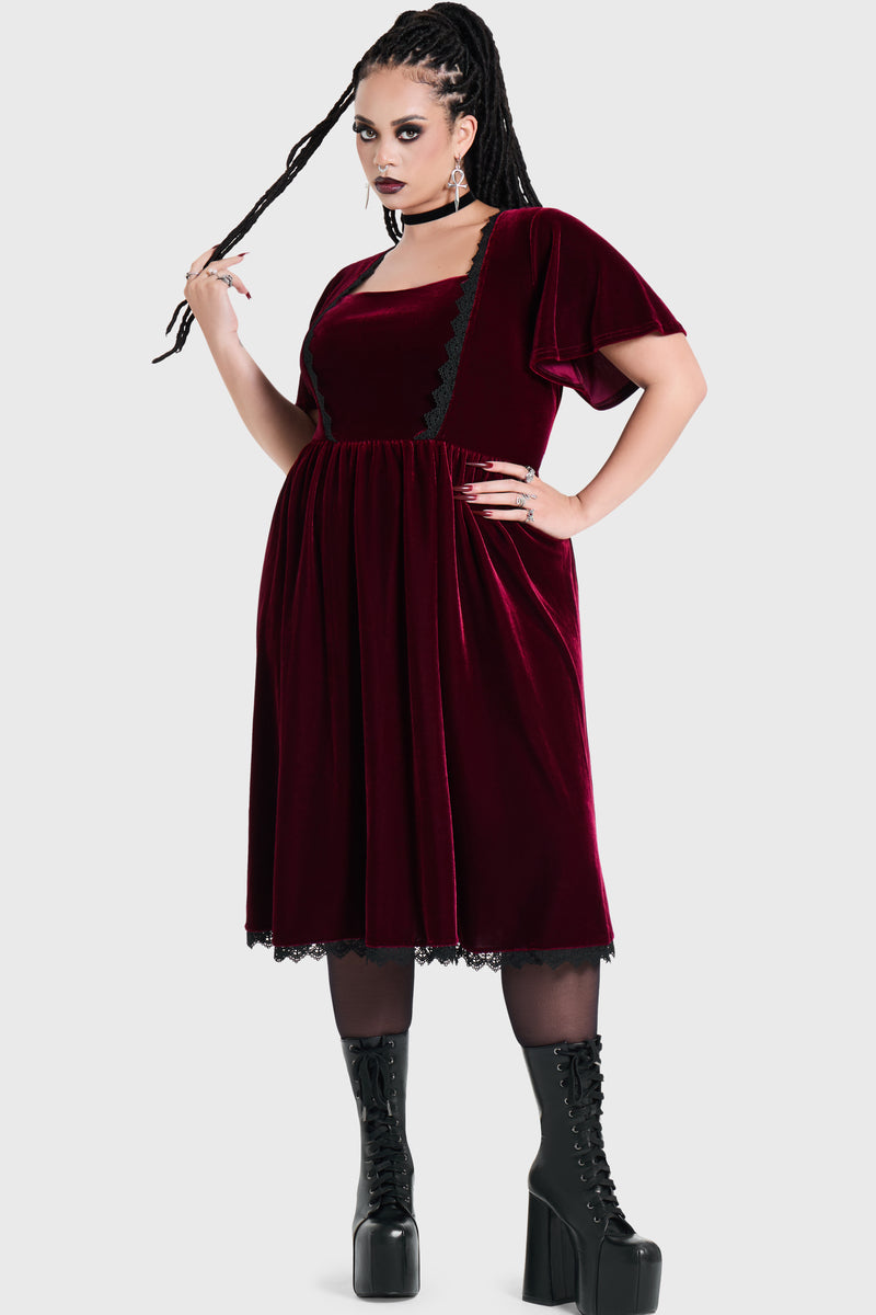 Model:plus