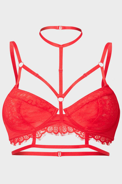 Holter Bra outlets Bralette Temple Bra