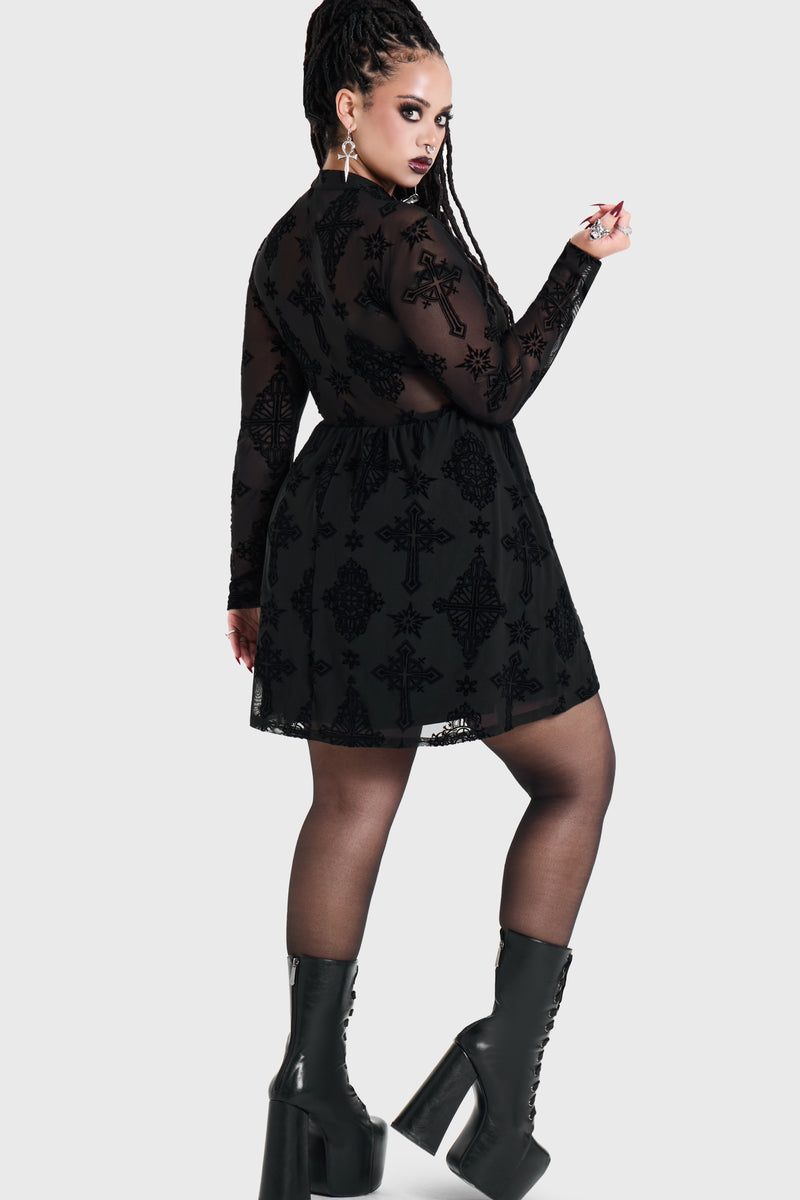 Model:plus