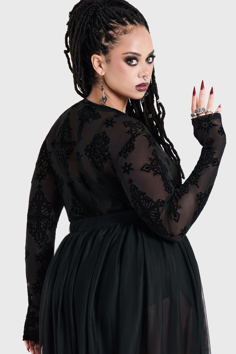 Model:plus