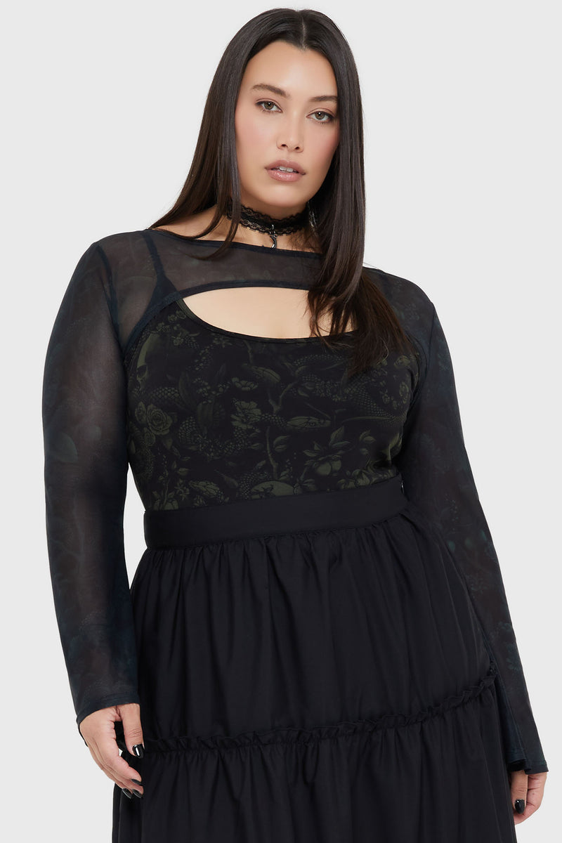 Model:plus