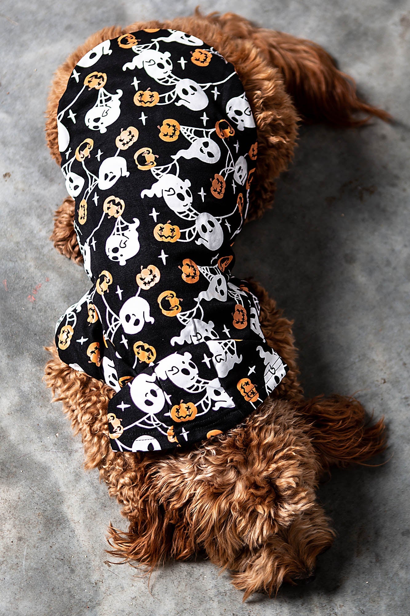 Halloween Pet Sweatshirt Pumpkin Castle Black Dog Hoodie Puppy