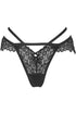 Phantom Lace Panty