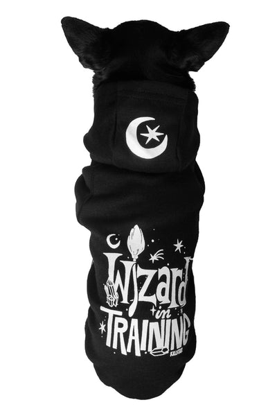 Training Wizard